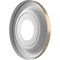 Ekena Millwork PVC Medallion (Canopies up to 5 1/2"), 10"OD x 3 1/2"ID x 1 1/8"P, Metallic Champagne Mist CMP10TRECE - alternate 4